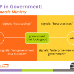 ERP in Government: "Mimicry" in Action?