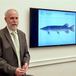 Public Financial Management Drives SDGs Success