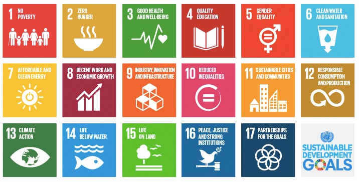Citizen Wellbeing and the SDGs