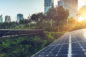 FreeBalance Commits to a Sustainable Future