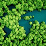 Social Responsibility News Roundup